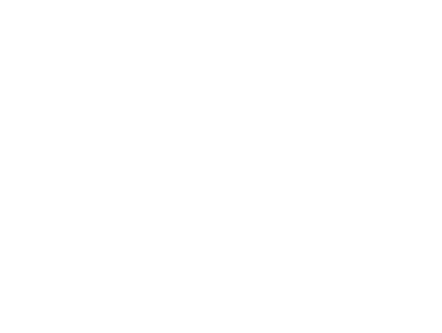 Lira Logo